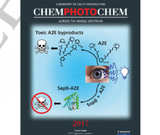 Cover of ChemPhotoChem - peer reviewed journal